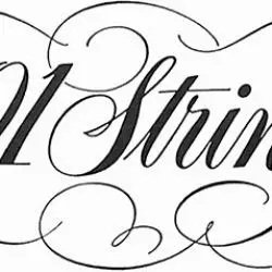 101 Strings