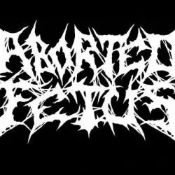 Aborted Fetus