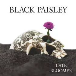 Black Paisley