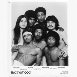 Brotherhood