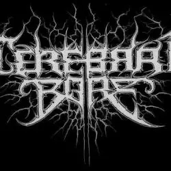 Cerebral Bore