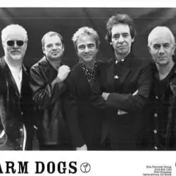 Farm Dogs