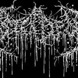 FesterDecay