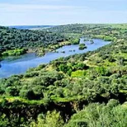 Guadiana & Ramon El Portugues