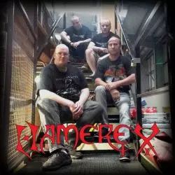 Hamerex