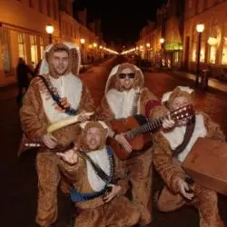 Hasenscheisse