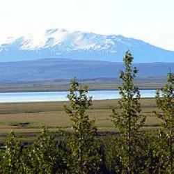 Hekla