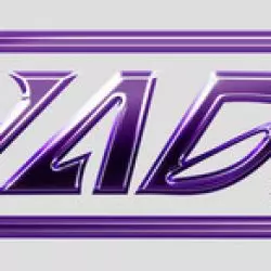 Invaders