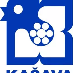 Kašava