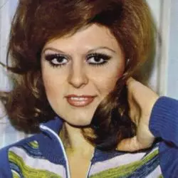 Neşe Karaböcek