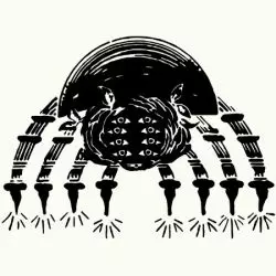 Spider Bite