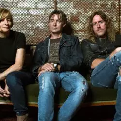 Spiderbait