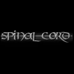 Spinal Cord