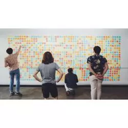 The Elwins