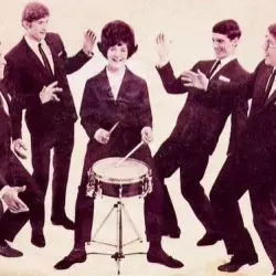The Honeycombs