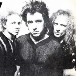 The Professionals