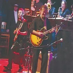 The Roots Band