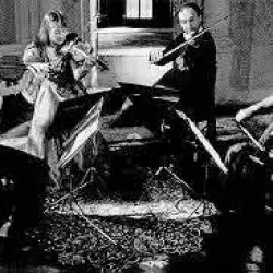 The Salomon Quartet
