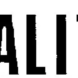 Totalitär