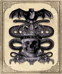 A Corpse With No Name