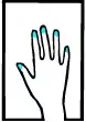 Blue Chopsticks