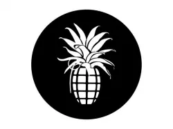 Bomba Dischi