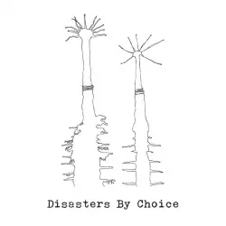 Disasters By Choice
