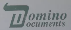 Domino Documents
