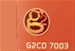 G2 (4)
