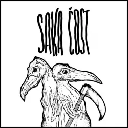 Saka Čost