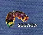 Seaview