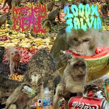 Album 1000x Salvia: 1000XSALVIA / American Meal