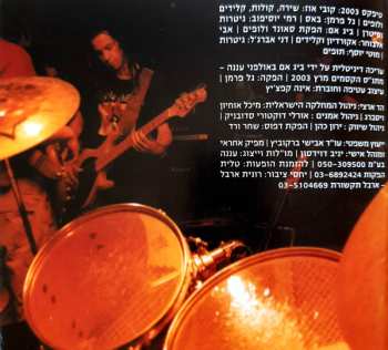 LP Teapacks: Big Fish