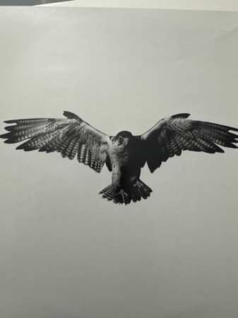 2LP 2 Chainz: B.O.A.T.S. II #METIME