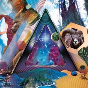 Album 311: Universal Pulse