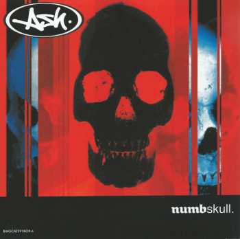 10SP/Set di cofanetti Ash: ‘94 - ‘04: The 7” Singles Box Set LTD | NUM