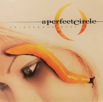 2LP A Perfect Circle: Thirteenth Step