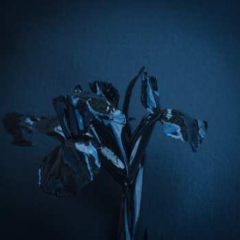 2LP A Swarm Of The Sun: The Rifts CLR