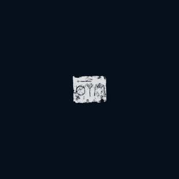 LP A Swarm Of The Sun: The Woods LTD | CLR