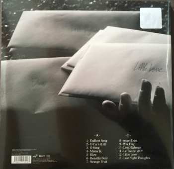 LP AaRON: Artificial Animals Riding On Neverland