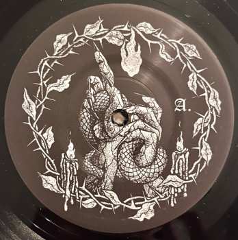 SP ACxDC: ACxDC / Pig City