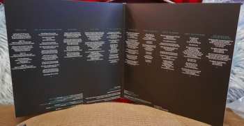 LP Adam Green: Adam Green & Binki Shapiro