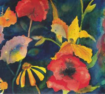 2CD Adrianne Lenker: Songs And Instrumentals