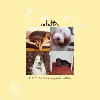 Album Adults: The Seeds We Sow Are Sprouting Buds Nonetheless
