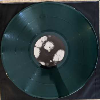 LP AEIR: Vol. I: A Frith Befouled CLR