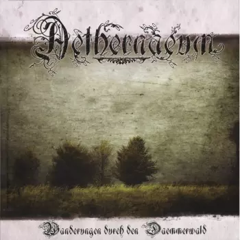 Wanderungen Durch Den Daemmerwald