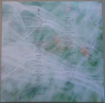 2LP Agent Fresco: A Long Time Listening CLR | LTD
