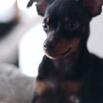 CD Agnetha Fältskog: A