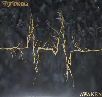 Awaken