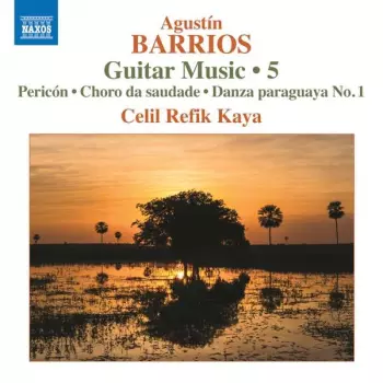 Guitar Music • 5
